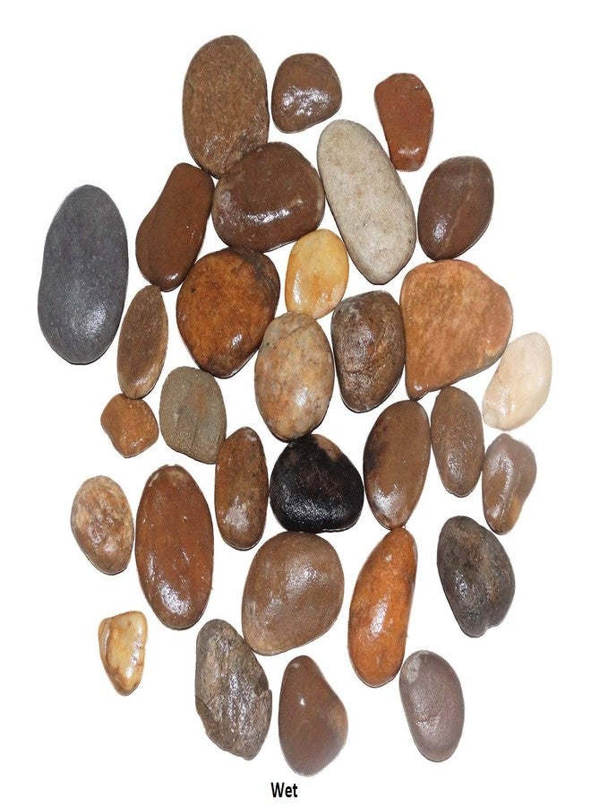 Maalavya Multi Color Flat unpolished River Stones for Home and Garden, Painting, Table Decor, Aquarium Substrate (1Kg) - Image 1